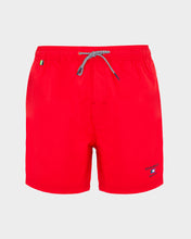 Upload the image to gallery viewer, Boxer mare
