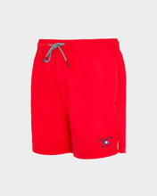 Upload the image to gallery viewer, Boxer mare
