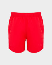 Upload the image to gallery viewer, Boxer mare
