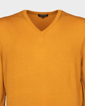 Carica l&#39;immagine nel visualizzatore di Gallery, Maglia scollo a V uomo
